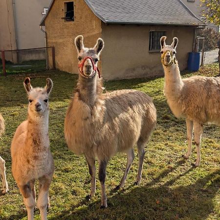Ferienwohnungen Satkula Crostwitz Exteriör bild