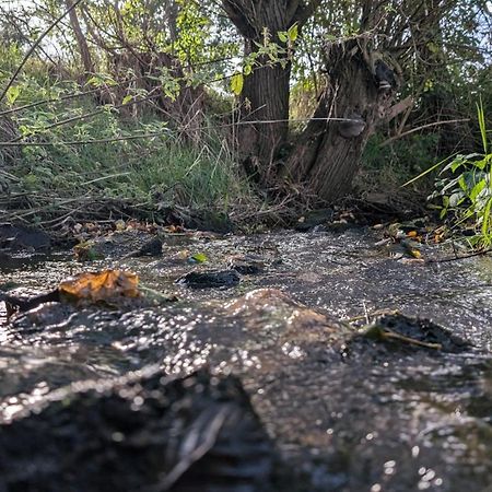Ferienwohnungen Satkula Crostwitz Exteriör bild